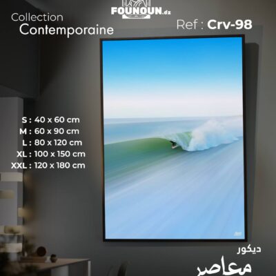 wave surfer