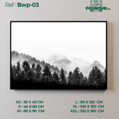 Bwp 03