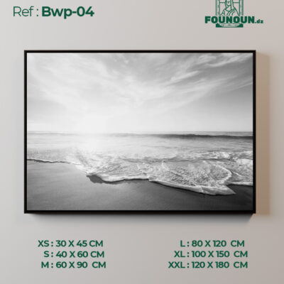 Bwp 04