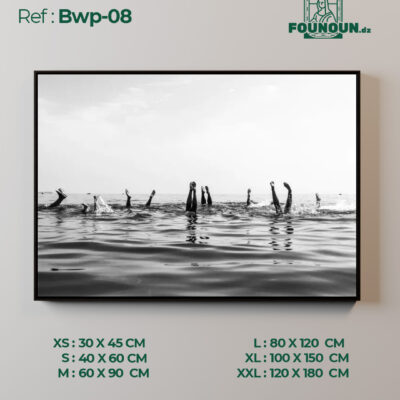 Bwp 08