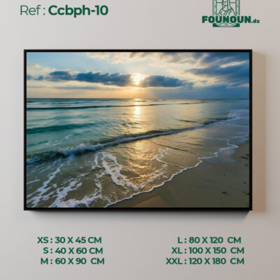 Ccbph10