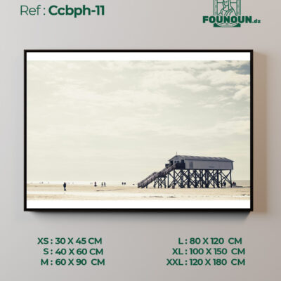 Ccbph11