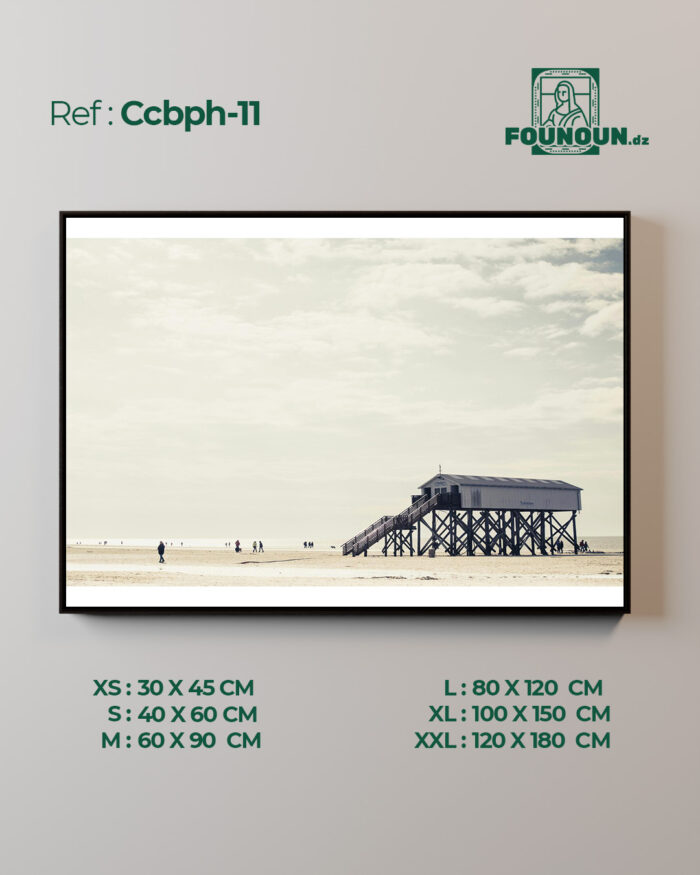 Ccbph11