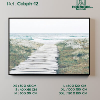 Ccbph12