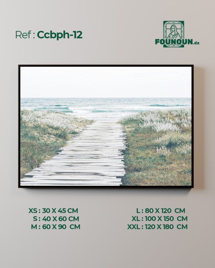 Ccbph12