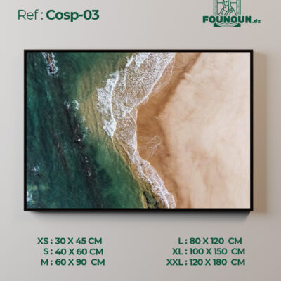 Cosph03