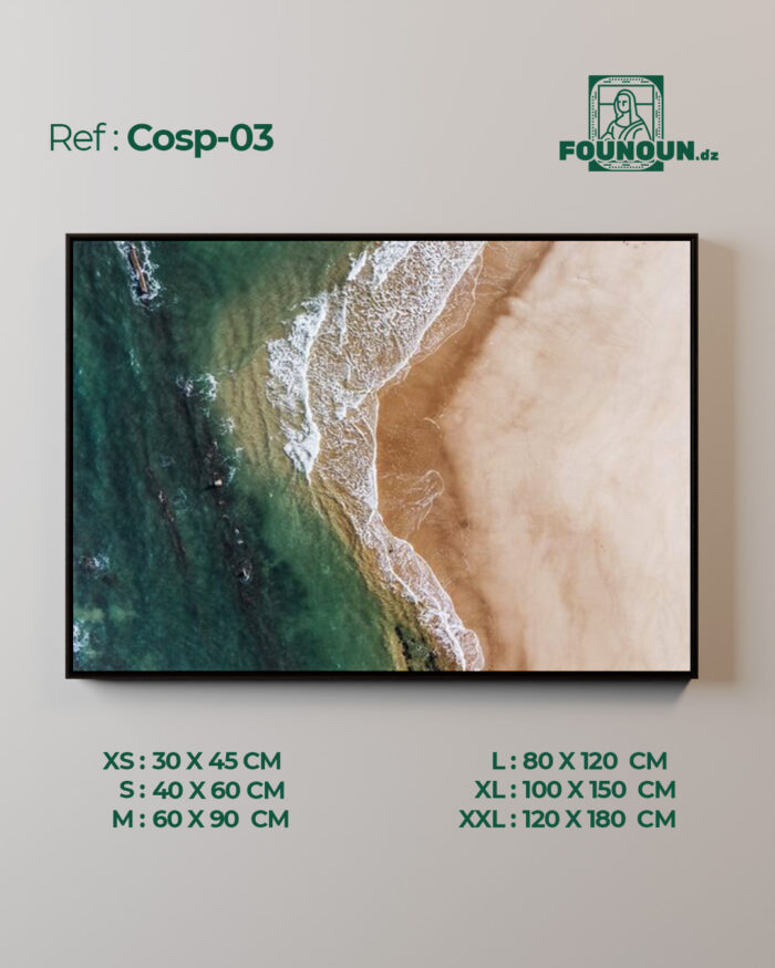 Cosph03