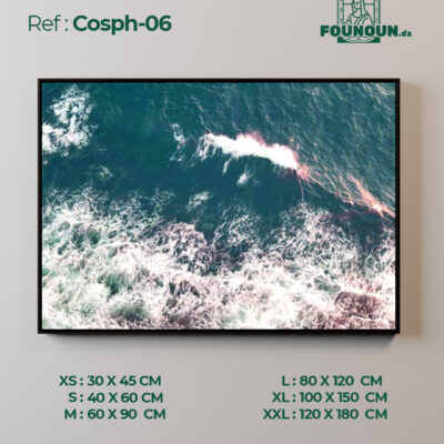 Cosph06