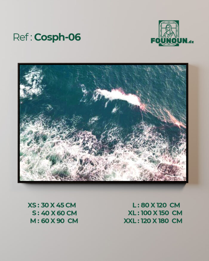 Cosph06