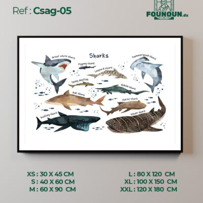 Csag05