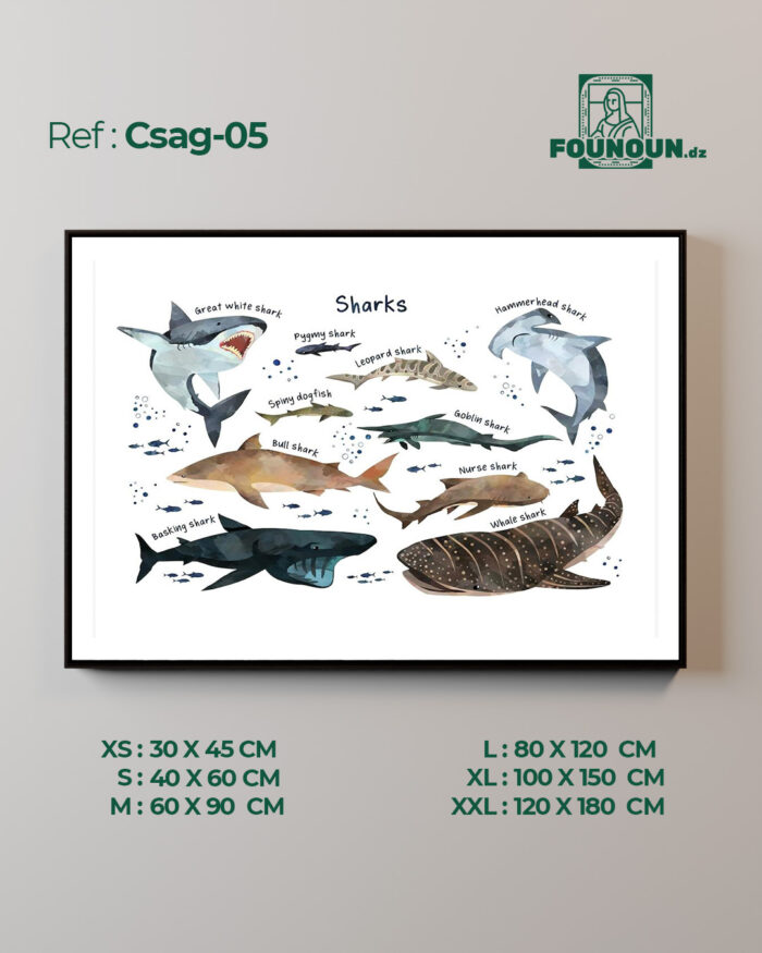 Csag05