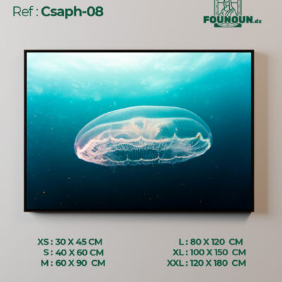 Csaph 08