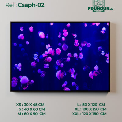 Csaph02