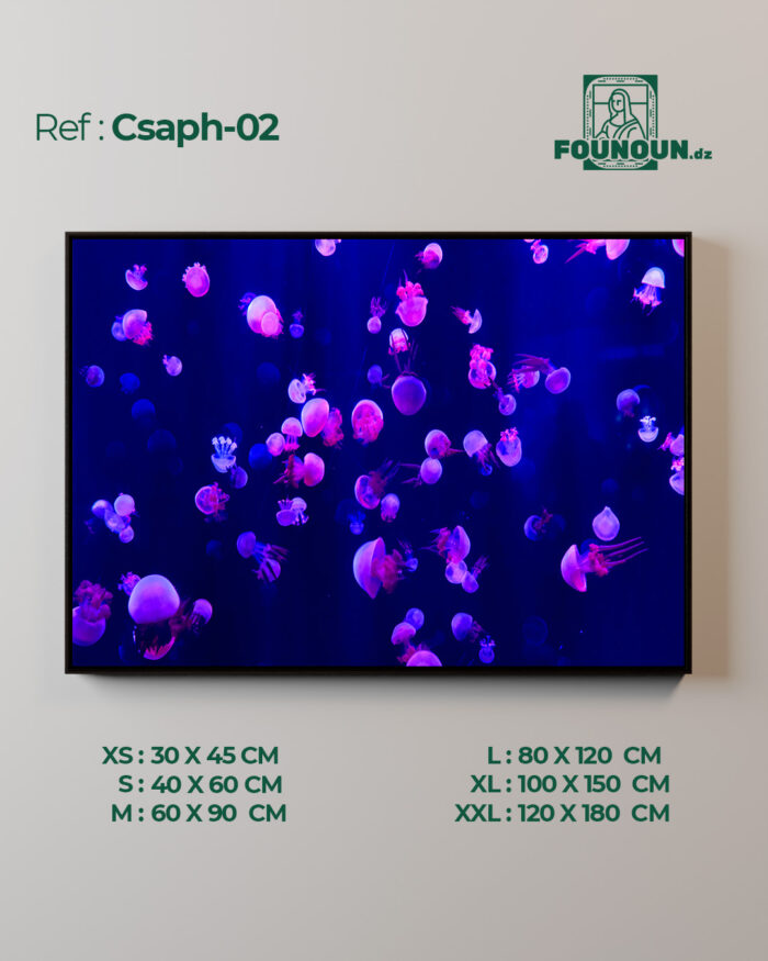 Csaph02