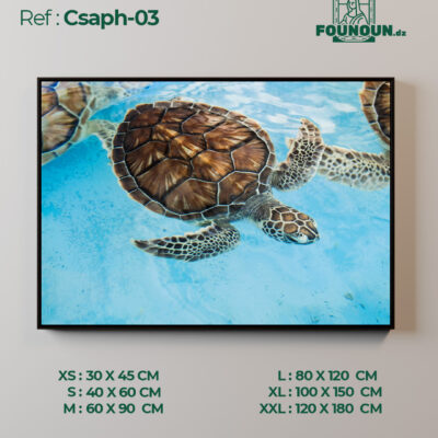 Csaph03