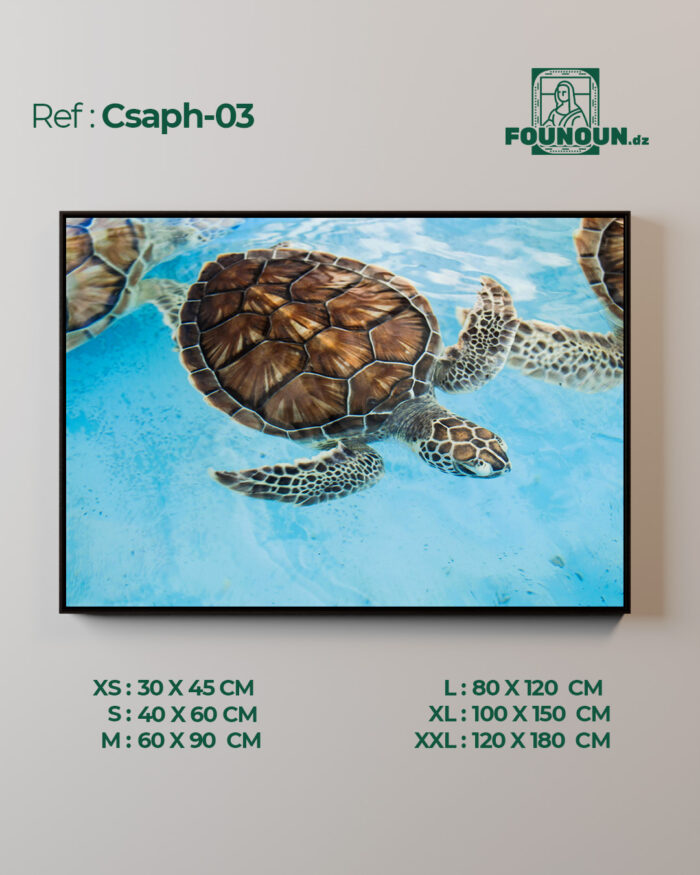 Csaph03