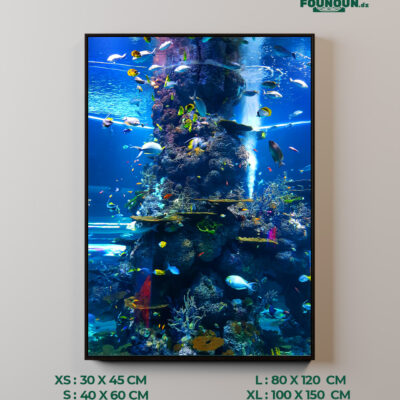 Csaph04