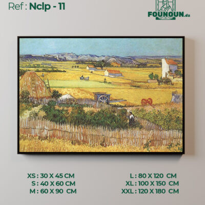 Nclp11