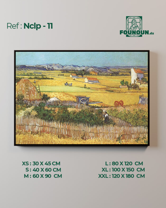 Nclp11