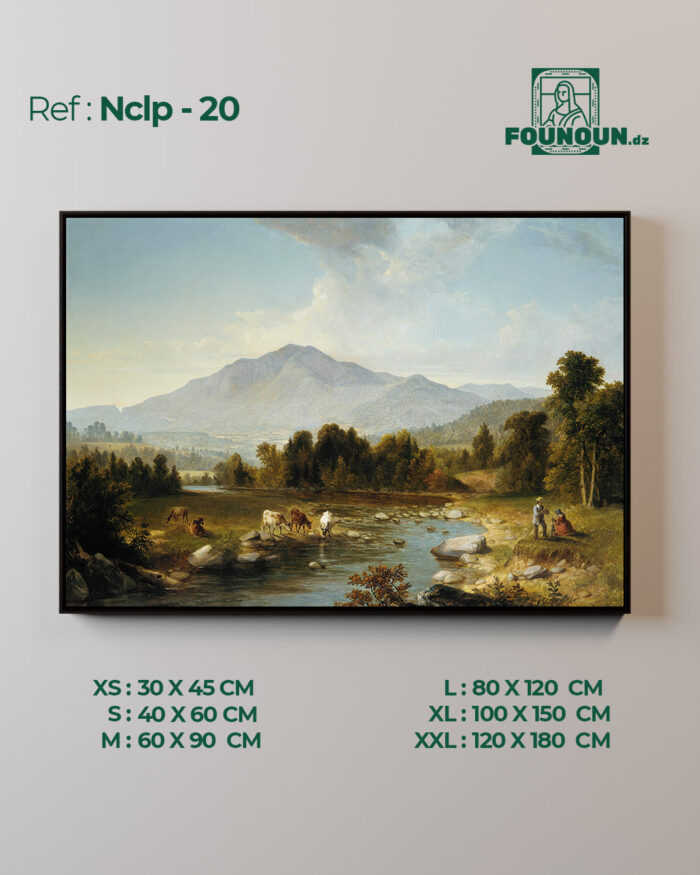 Nclp20