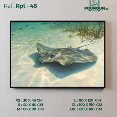 Rpt 48