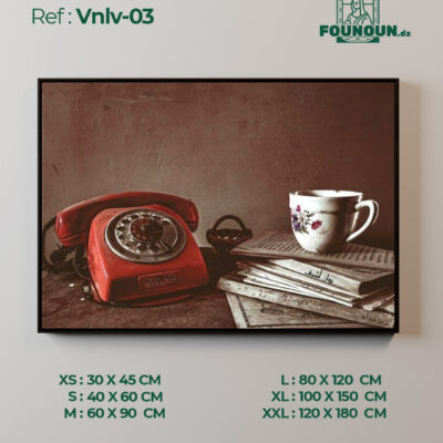 Vnlv 03