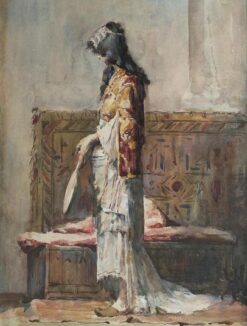 Veiled Morning Reverie