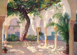 Sunlit Courtyard Oasis