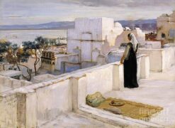 Casbah of Algiers Rooftop View