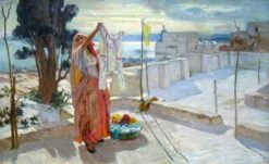 Sunlit Laundry in Algiers