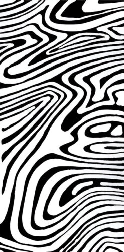 Monochrome Ripple Maze