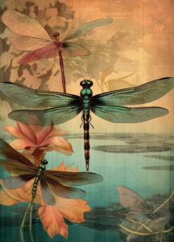 Vintage Dragonfly Garden Print