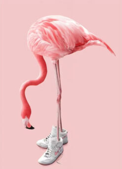 Pink Flamingo Sneaker Print
