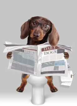 Dachshund Bathroom Humor Print