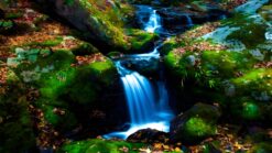 Mossy Falls Tranquil Escape