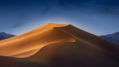 Golden Dune Night Serenity