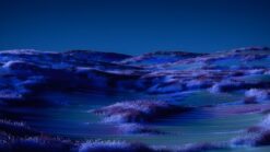 Midnight Blue Dream Fields