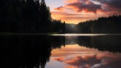 Golden Hour Reflections