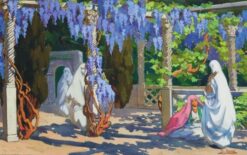 Algiers Casbah Wisteria Courtyard