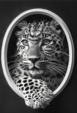 Through the Silver Frame