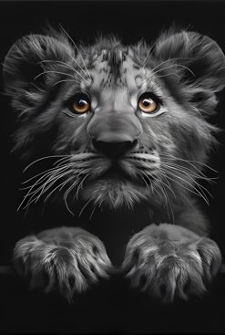 Bright Eyes in Shadow