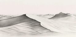 Whispering Desert Dunes