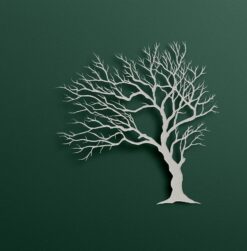 Windswept Winter Branches