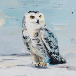 Winter Gaze Owl