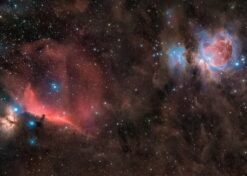 Orion Nebula Star Nursery