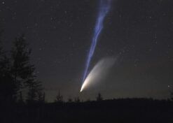 Midnight Comet Over Pines