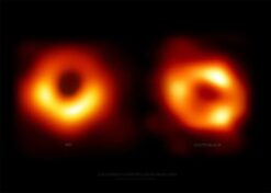 Twin Black Hole Firerings