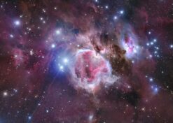 Orion Nebula Radiant Bloom