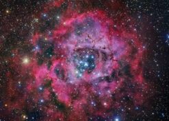 Rosette Nebula Dream Glow