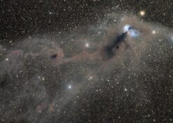 Midnight Serpent Nebula Glow